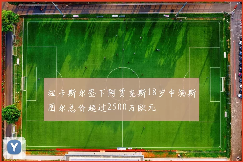 纽卡斯尔签下阿贾克斯18岁中场斯图尔总价超过2500万欧元