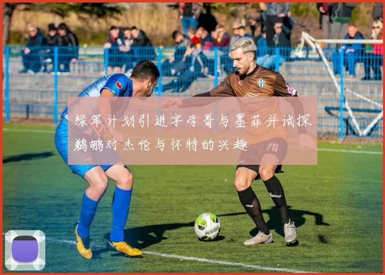 绿军计划引进字母哥与墨菲并试探鹈鹕对杰伦与怀特的兴趣