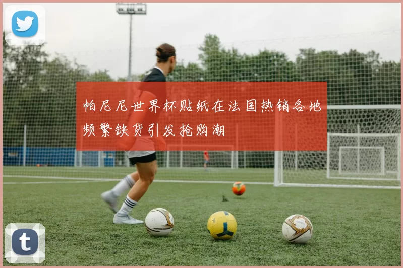 帕尼尼世界杯贴纸在法国热销各地频繁缺货引发抢购潮