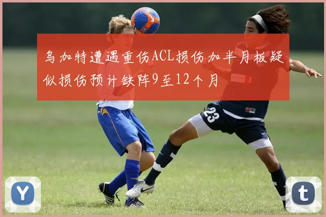乌加特遭遇重伤ACL损伤加半月板疑似损伤预计缺阵9至12个月